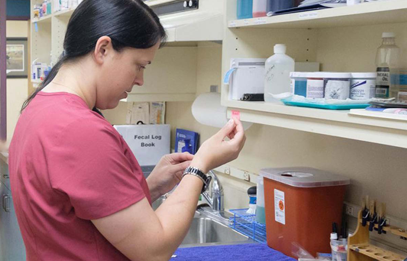 Veterinarian administering a vaccination to a pet at Wales Animal Clinic in Wales, WI