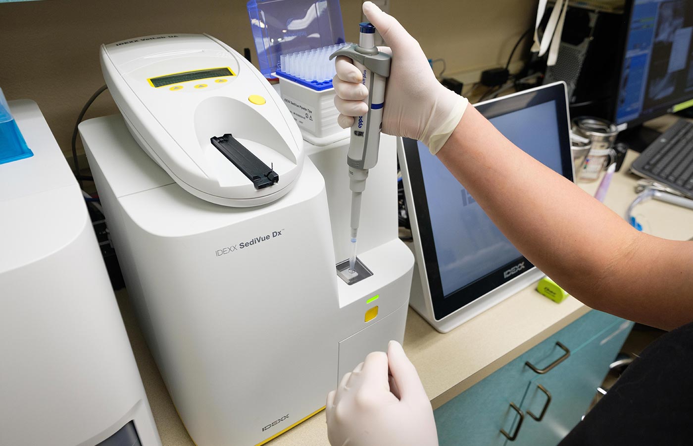 laboratory-DS-img In-house veterinary laboratory for pet diagnostics and testing at Wales Animal Clinic